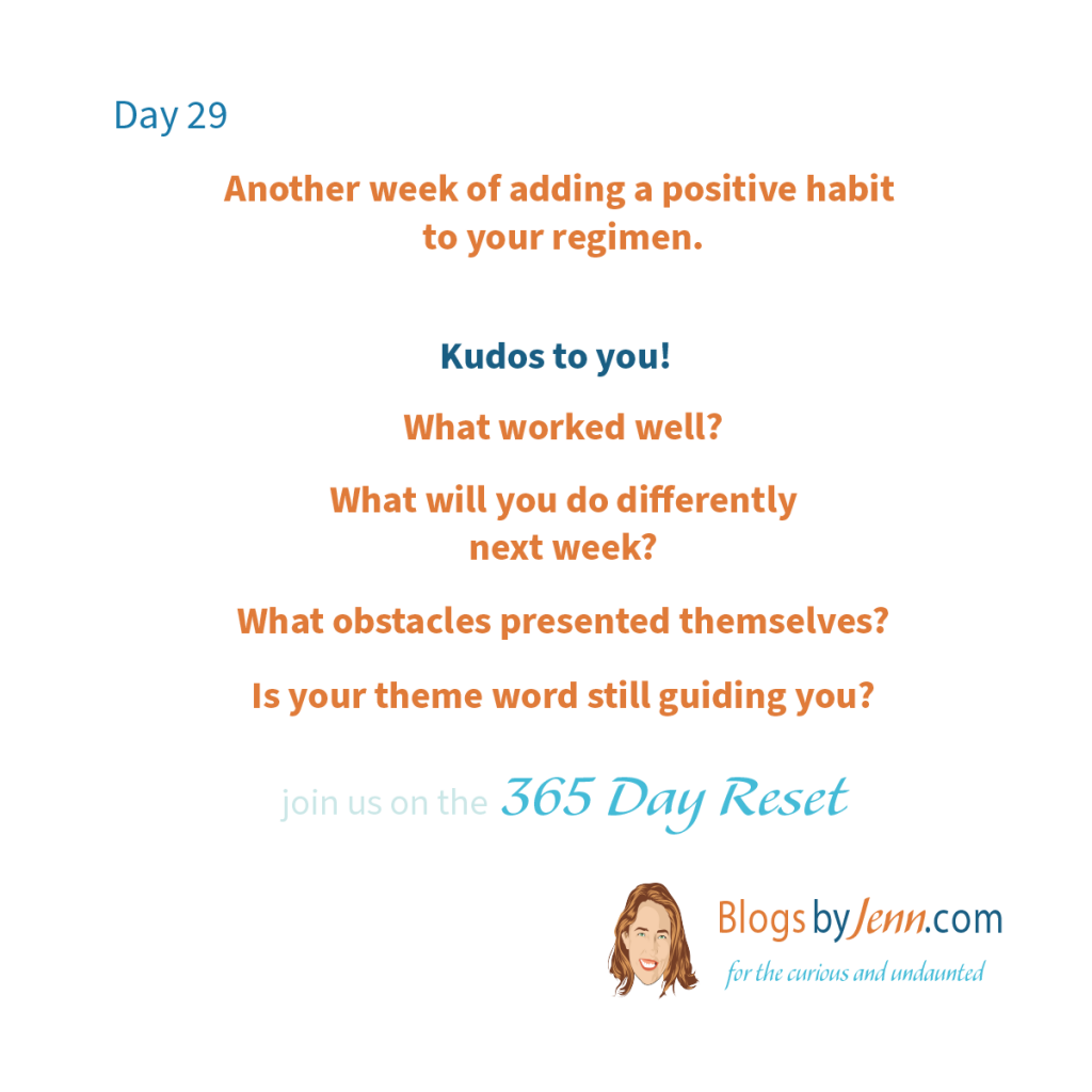 365-Day Reset - Day 29